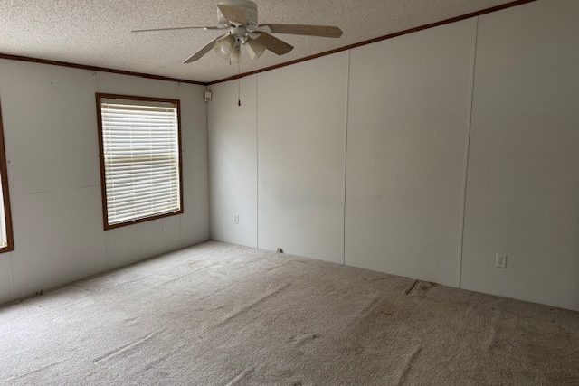 228 Vernon Dr-7